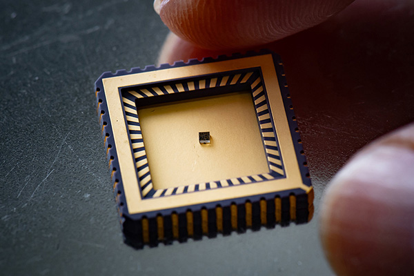 ZnO量子ドットチップ