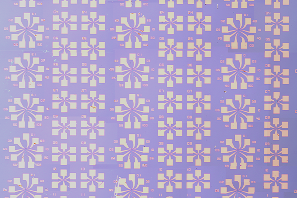 MoS2単結晶デバイス群