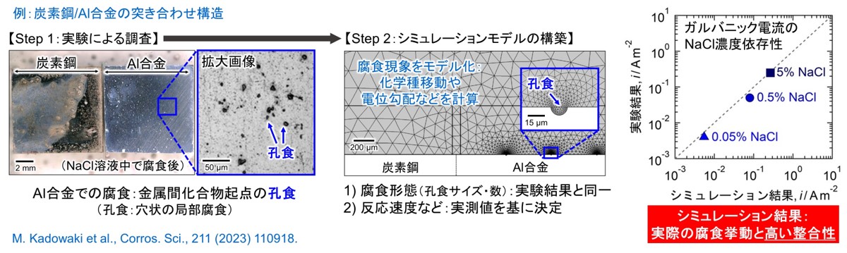 数値シミュレーションによる異種材料共存部の腐食挙動の解析