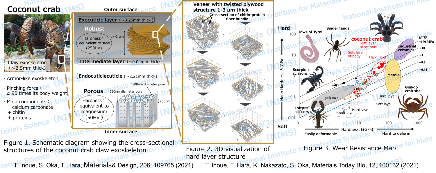 graphical abstract