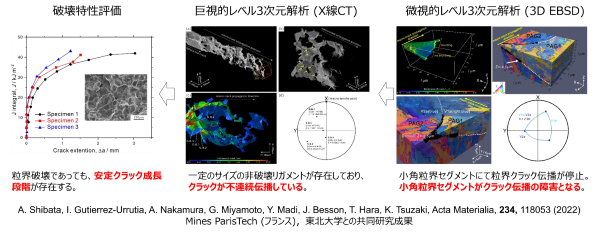 高強度鋼の粒界破壊機構をマルチスケール3次元解析で解明