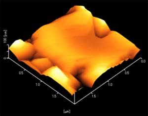 SiO2 KX̔AFM