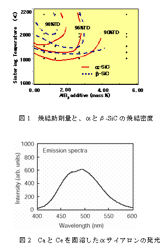 eLXg {bNX:  
@@}1@ČܗʂƁAƃ-SiC̏Čx

    
}2@CaCeŗnTCA̔D
