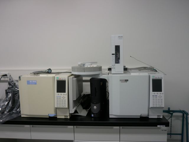 Gas Chromatography in W306