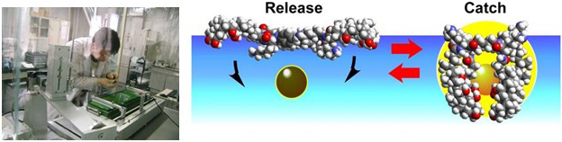 A researcher prepares a Langmuir-Blodgett film using a Langmuir trough. Macroscale compression/expansion of the monolayer leads respectively to reversible capture and release of molecules in the subphase yielding an on/off response of fluorescence emission.