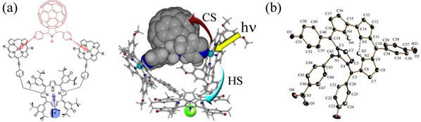 (a) Molecular assemblies involving three different chromophores and anionic cofactors for mimicking of light harvesting processes and the influence of cofactors. (b) Oxocorrologen, a molecule with potentially ten different tautomeric forms.