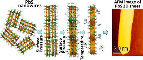 Lead sulphide nanowires were converted to lead sulphide 2-dimensional sheets by applying a supramolecular concept involving Langmuir-Blodgett techniques.