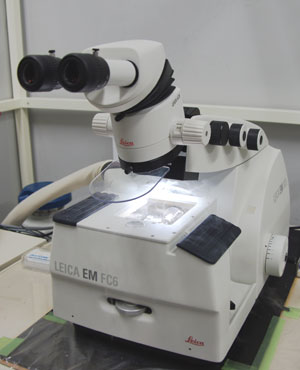 Leica EM UC6