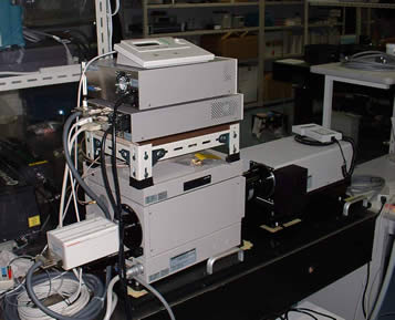 Picosecond streak camera with a monochromator