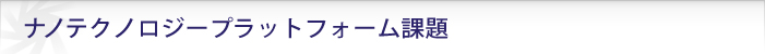 ナノテクノロジープラットフォーム課題（手続フロー）